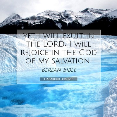 Picture 07 - Habakkuk 3:18 BSB - yet I will exult in the LORD; I will rejoice in - Bible Verse Picture