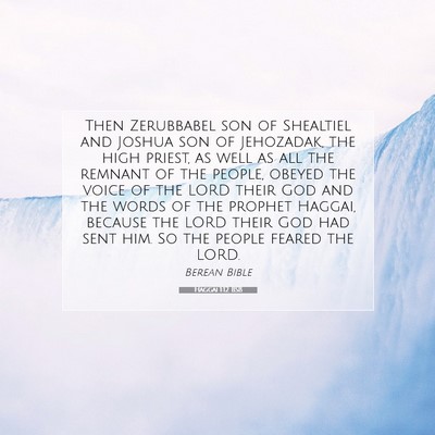 Picture 07 - Haggai 1:12 BSB - Then Zerubbabel son of Shealtiel and Joshua son - Bible Verse Picture
