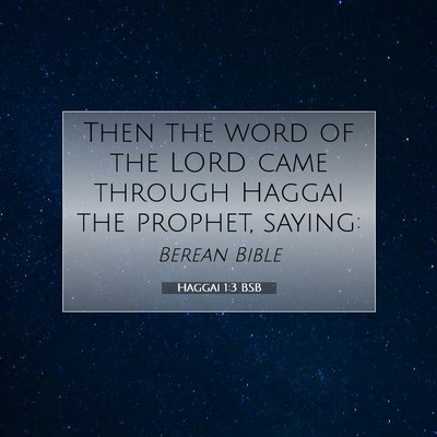 Picture 07 - Haggai 1:3 BSB - Then the word of the LORD came through Haggai the - Bible Verse Picture