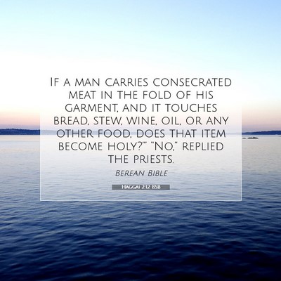 Picture 07 - Haggai 2:12 BSB - If a man carries consecrated meat in the fold of - Bible Verse Picture