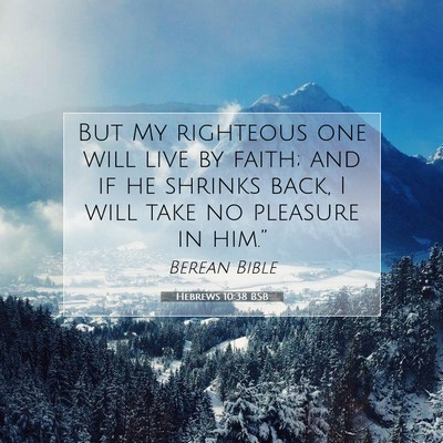 Picture 07 - Hebrews 10:38 BSB - But My righteous one will live by faith; and if - Bible Verse Picture