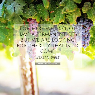 Picture 07 - Hebrews 13:14 BSB - For here we do not have a permanent city, but we - Bible Verse Picture