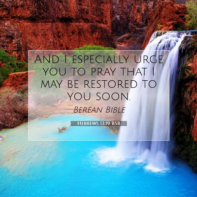 Picture 07 - Hebrews 13:19 BSB - And I especially urge you to pray that I may be - Bible Verse Picture