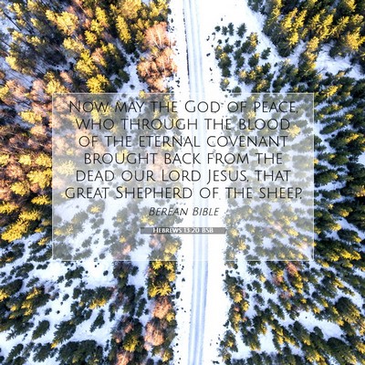 Picture 07 - Hebrews 13:20 BSB - Now may the God of peace, who through the blood - Bible Verse Picture