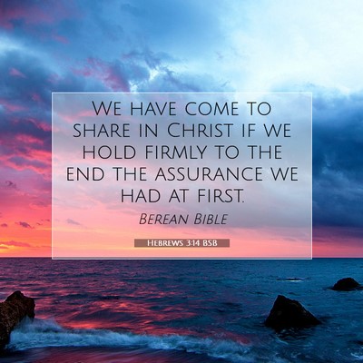 Picture 07 - Hebrews 3:14 BSB - We have come to share in Christ if we hold firmly - Bible Verse Picture