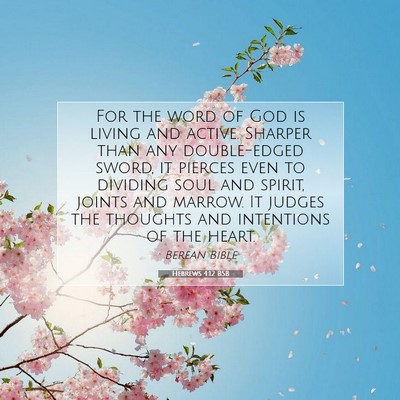 Picture 07 - Hebrews 4:12 BSB - For the word of God is living and active. Sharper - Bible Verse Picture