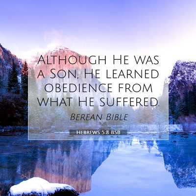 Picture 07 - Hebrews 5:8 BSB - Although He was a Son, He learned obedience from - Bible Verse Picture
