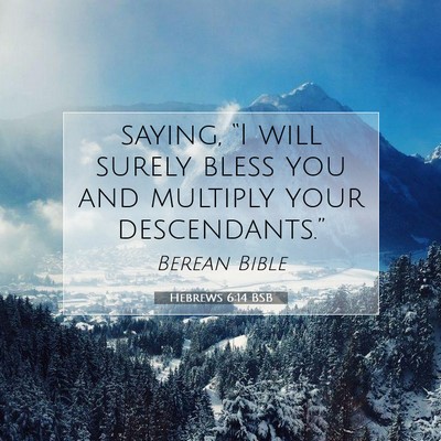 Picture 07 - Hebrews 6:14 BSB - saying, “I will surely bless you and multiply - Bible Verse Picture