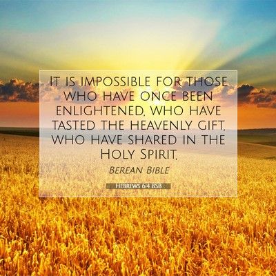 Picture 07 - Hebrews 6:4 BSB - It is impossible for those who have once been - Bible Verse Picture
