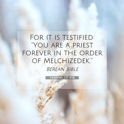 Picture 07 - Hebrews 7:17 BSB - For it is testified: “You are a priest forever - Bible Verse Picture