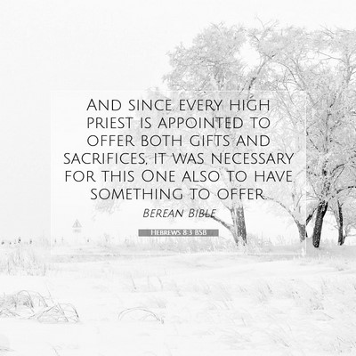 Picture 07 - Hebrews 8:3 BSB - And since every high priest is appointed to offer - Bible Verse Picture