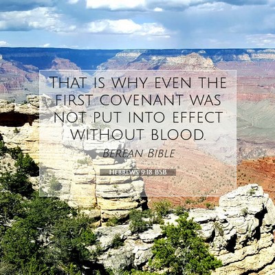 Picture 07 - Hebrews 9:18 BSB - That is why even the first covenant was not put - Bible Verse Picture