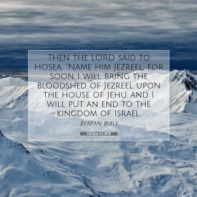 Picture 07 - Hosea 1:4 BSB - Then the LORD said to Hosea, “Name him Jezreel, - Bible Verse Picture