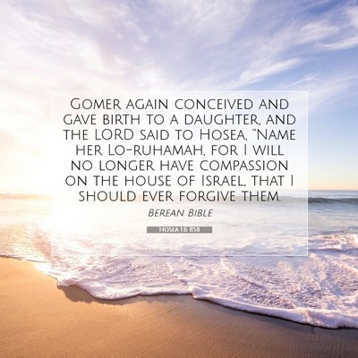 Picture 07 - Hosea 1:6 BSB - Gomer again conceived and gave birth to a - Bible Verse Picture