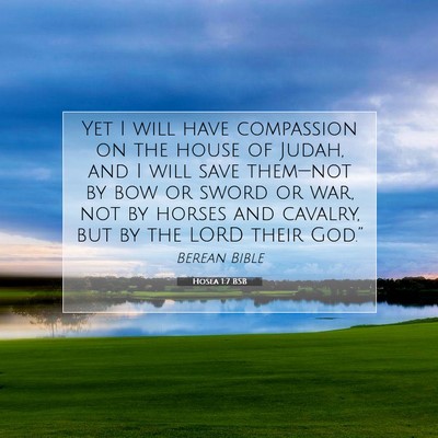Picture 07 - Hosea 1:7 BSB - Yet I will have compassion on the house of Judah, - Bible Verse Picture