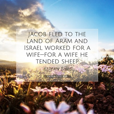 Picture 07 - Hosea 12:12 BSB - Jacob fled to the land of Aram and Israel worked - Bible Verse Picture