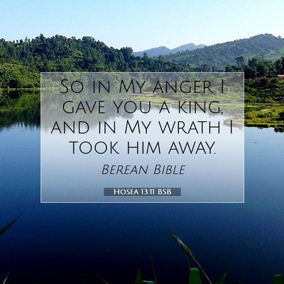 Picture 07 - Hosea 13:11 BSB - So in My anger I gave you a king, and in My wrath - Bible Verse Picture
