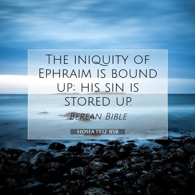 Picture 07 - Hosea 13:12 BSB - The iniquity of Ephraim is bound up; his sin is - Bible Verse Picture