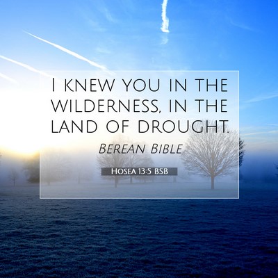 Picture 07 - Hosea 13:5 BSB - I knew you in the wilderness, in the land of - Bible Verse Picture