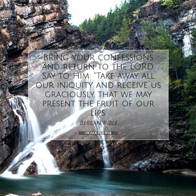 Picture 07 - Hosea 14:2 BSB - Bring your confessions and return to the LORD. - Bible Verse Picture