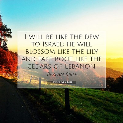 Picture 07 - Hosea 14:5 BSB - I will be like the dew to Israel; he will blossom - Bible Verse Picture