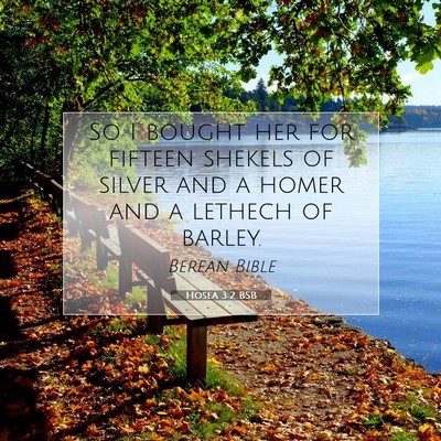 Picture 07 - Hosea 3:2 BSB - So I bought her for fifteen shekels of silver and - Bible Verse Picture