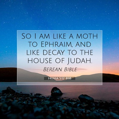 Picture 07 - Hosea 5:12 BSB - So I am like a moth to Ephraim, and like decay to - Bible Verse Picture