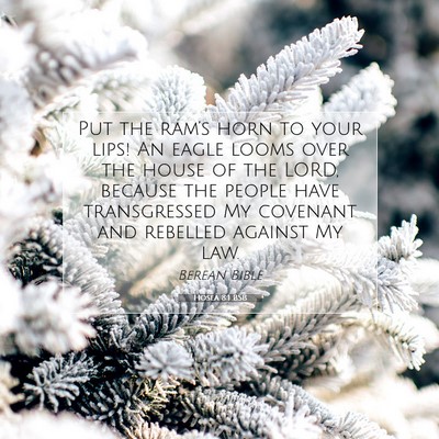 Picture 07 - Hosea 8:1 BSB - Put the ram’s horn to your lips! An eagle looms - Bible Verse Picture