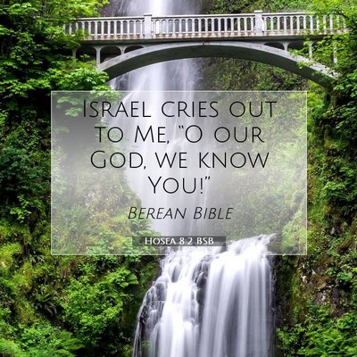 Picture 07 - Hosea 8:2 BSB - Israel cries out to Me, “O our God, we know - Bible Verse Picture