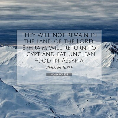 Picture 07 - Hosea 9:3 BSB - They will not remain in the land of the LORD; - Bible Verse Picture