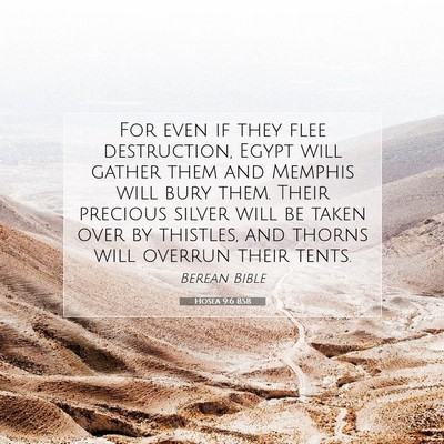 Picture 07 - Hosea 9:6 BSB - For even if they flee destruction, Egypt will - Bible Verse Picture