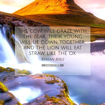 Picture 07 - Isaiah 11:7 BSB - The cow will graze with the bear, their young - Bible Verse Picture