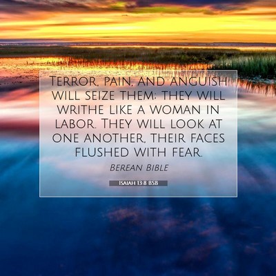 Picture 07 - Isaiah 13:8 BSB - Terror, pain, and anguish will seize them; they - Bible Verse Picture