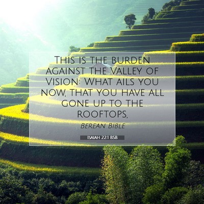 Picture 07 - Isaiah 22:1 BSB - This is the burden against the Valley of Vision: - Bible Verse Picture