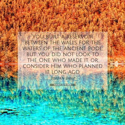 Picture 07 - Isaiah 22:11 BSB - You built a reservoir between the walls for the - Bible Verse Picture