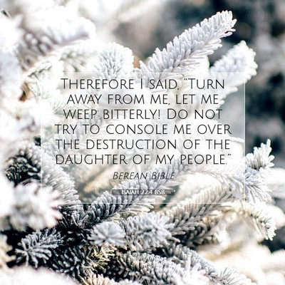 Picture 07 - Isaiah 22:4 BSB - Therefore I said, “Turn away from me, let me - Bible Verse Picture