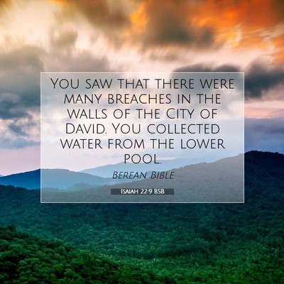 Picture 07 - Isaiah 22:9 BSB - You saw that there were many breaches in the - Bible Verse Picture