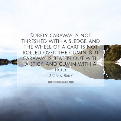 Picture 07 - Isaiah 28:27 BSB - Surely caraway is not threshed with a sledge, and - Bible Verse Picture
