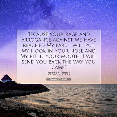 Picture 07 - Isaiah 37:29 BSB - Because your rage and arrogance against Me have - Bible Verse Picture