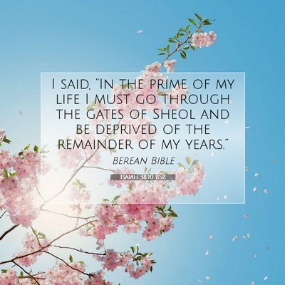 Picture 07 - Isaiah 38:10 BSB - I said, “In the prime of my life I must go - Bible Verse Picture