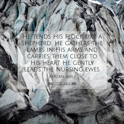 Picture 07 - Isaiah 40:11 BSB - He tends His flock like a shepherd; He gathers - Bible Verse Picture