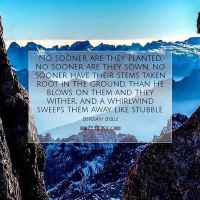 Picture 07 - Isaiah 40:24 BSB - No sooner are they planted, no sooner are they - Bible Verse Picture