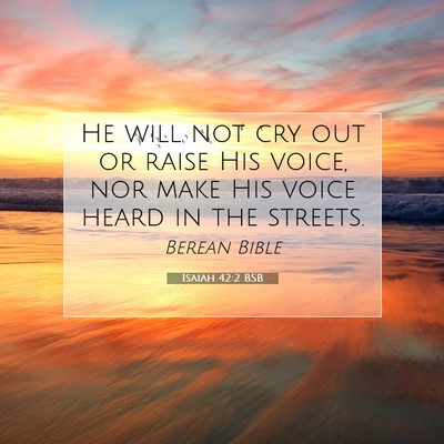 Picture 07 - Isaiah 42:2 BSB - He will not cry out or raise His voice, nor make - Bible Verse Picture