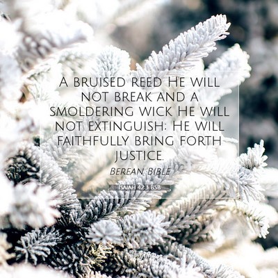 Picture 07 - Isaiah 42:3 BSB - A bruised reed He will not break and a smoldering - Bible Verse Picture
