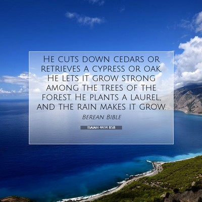 Picture 07 - Isaiah 44:14 BSB - He cuts down cedars or retrieves a cypress or - Bible Verse Picture