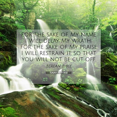 Picture 07 - Isaiah 48:9 BSB - For the sake of My name I will delay My wrath; - Bible Verse Picture