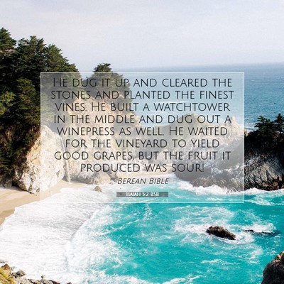 Picture 07 - Isaiah 5:2 BSB - He dug it up and cleared the stones and planted - Bible Verse Picture