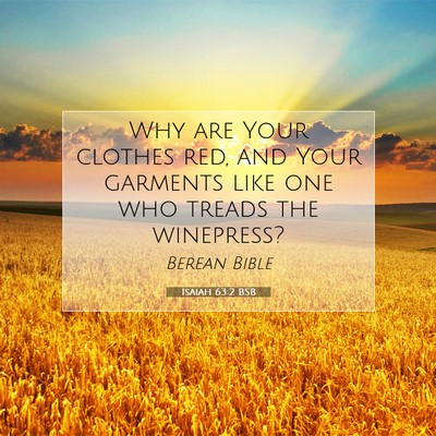 Picture 07 - Isaiah 63:2 BSB - Why are Your clothes red, and Your garments like - Bible Verse Picture