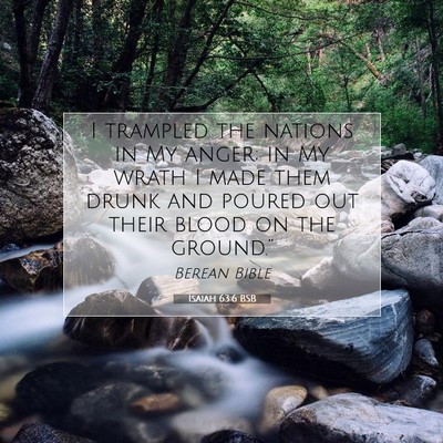 Picture 07 - Isaiah 63:6 BSB - I trampled the nations in My anger; in My wrath I - Bible Verse Picture