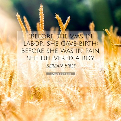 Picture 07 - Isaiah 66:7 BSB - “Before she was in labor, she gave birth; - Bible Verse Picture
